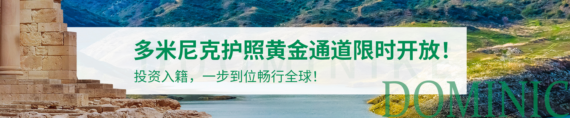 多米尼克
